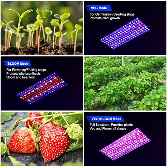 Upgraded BW1000 LED Grow Lights Double Chips Full Spectrum with 10ft Cable for Greenhouse and Indoor Plant Veg and Flower Growing [Black]