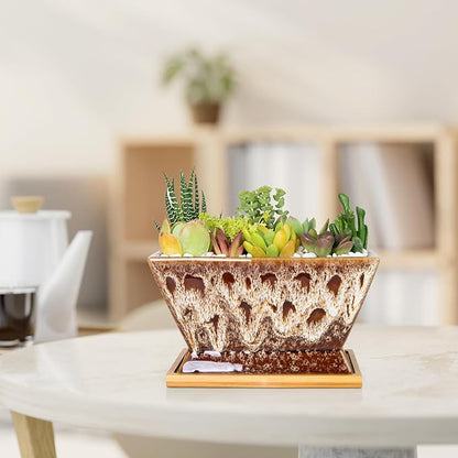 ARTKETTY Succulent Pots - 7 Inch Large Plant Pot with Drainage Tray, Shallow Ceramic Pots for Indoor Plants, Modern Cactus Bonsai Plant Container Decorative Home Office