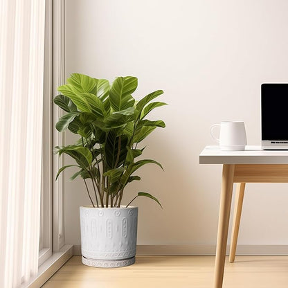 Ceramic Planter Pot - 10 Inch Plant Pot for Indoor Outdoor Plants Round Large Flower Pot with Drainage Holes and Saucer for Home Garden Patio Decor White
