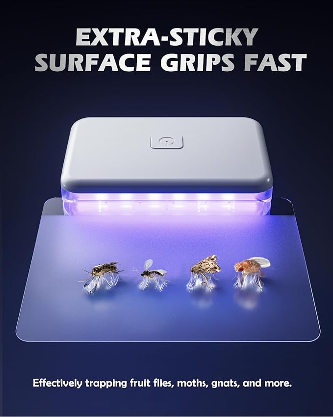 2 Pcs Fruit Fly Traps for Indoors (2 Device+10 Refills) Plug in UV Light Fly Trap for Gnats, Fruit Flies, Flying Insects Sleek Design Indoor Safe