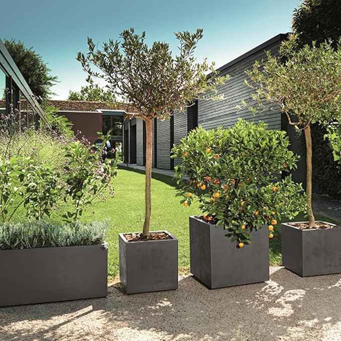 Deroma Millennium 10” Cube Planter | Light & Durable Plastic | Indoor or Outdoor Square Pot for Patio/Porch | Includes Water Reserve & Drain Plug | Trendy Planter for Plants, Flowers, Garden | Grey