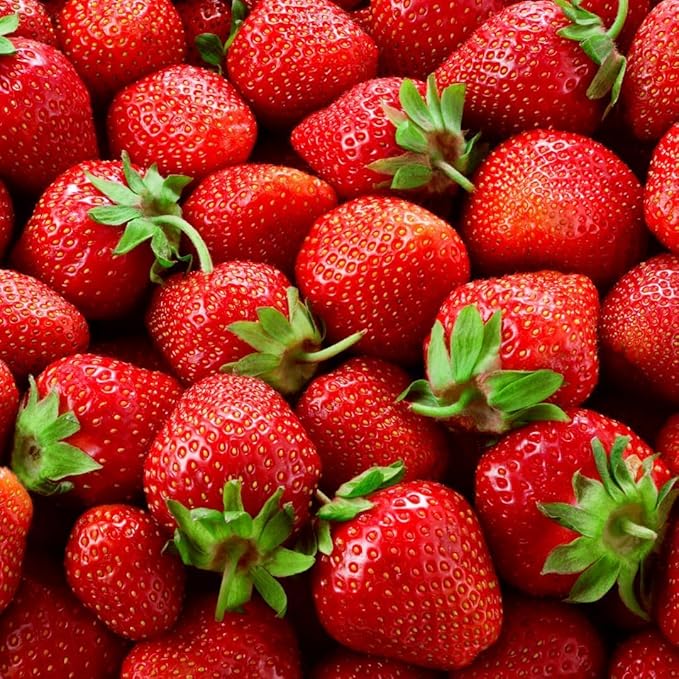 Harvest Glow Strawberry Plants - Grow Tasty Strawberries - Bare Root Plants (20 Plants)