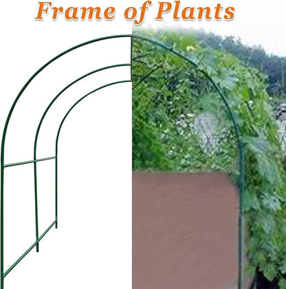 Strong Camel Greenhouse Replacement Frame for Outdoor Larger Hot Garden House , Support Arch Frame Climbing Plants/Flowers/Vegetables (6.5' x 7' x 7.2', Frame)