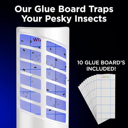 2-Pack Large Indoor Plug in Fly Trap, 21 UV LED Bulbs, 10 Sticky Glue Board Refills, A Home Gnat Trap, Moth, Flies, Mosquito Trap! (2 Devices 10 Glue Boards)