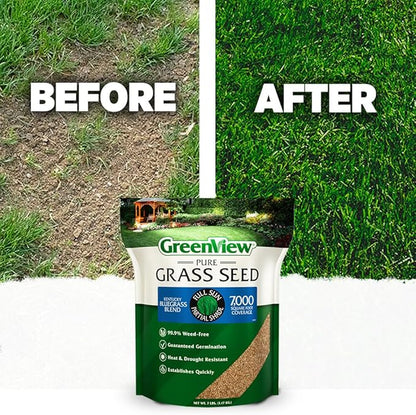 GreenView Pure Grass Seed Kentucky Bluegrass Blend, 7 lb. Bag – Covers up to 7,000 sq. ft.