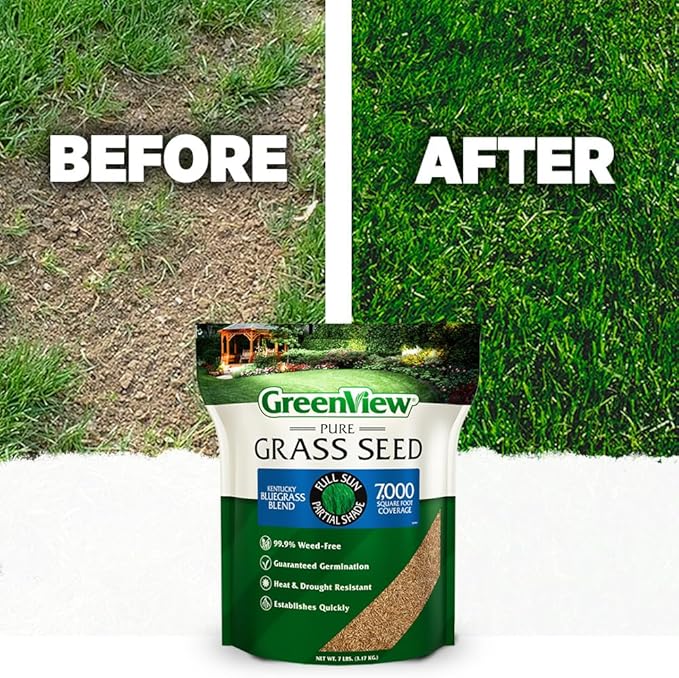 GreenView Pure Grass Seed Kentucky Bluegrass Blend, 3 lb. Bag – Covers up to 3,000 sq. ft.