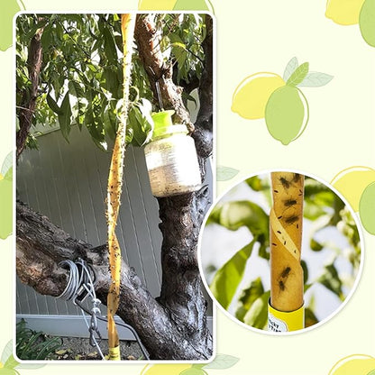 Stingmon 40 Pack Sticky Fly Trap Indoor, Fly Traps Outdoor Hanging, Fruit Fly Trap, Fly Strips Fly Tape Fly Killer Fly Catcher Fly Paper Fly Ribbon, Flying Insect Trap for Bug, Gnat, Insect, Mosquito