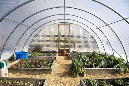 Greenhouse Plastic Sheeting 12x50 ft, 6 mil Thickness Replacement Cover, UV Resistant