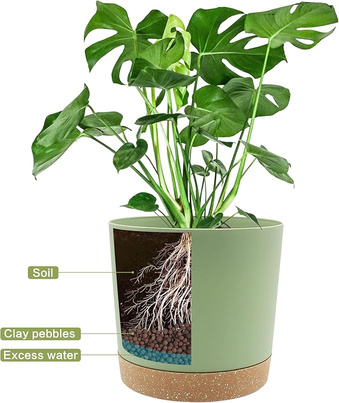 QCQHDU 8 inch Plant Pot, 2 Pack Planters for Indoor Plants with Drainage Holes & Saucer, Outdoor Flower Pots Home Garden Modern Decor