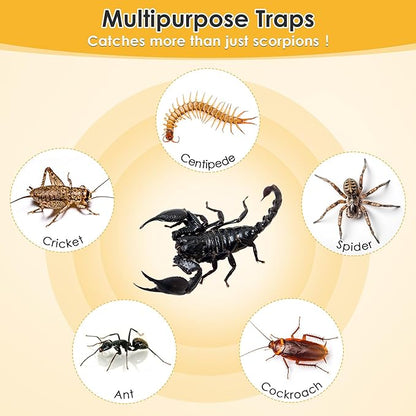 Qualirey 6 Scorpion Glue Tray Traps, Adhesive Scorpion Killer Indoor, Pet and Children Safe, Scorpion Repellent, Insect Traps Indoor, Sticky Bug Catcher for Basement, Bathrooms and Garage