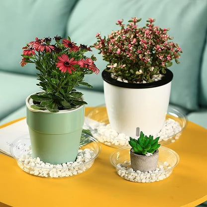 20 Packs 10" Large Clear Plant Saucers for Indoor Outdoor Use Heavy Duty Plastic Plant Trays for Planter Bulk Flower Pot Drip Trays to Catch Water, 4 to 20 Inch, Round Transparent