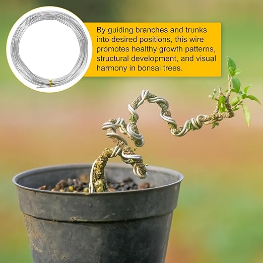 2mm Bonsai Training Wire, 16.4 Feet Total Anodized Aluminum Bonsai Wires for Bonsai Tree Shaping/Branches Fixing/Trunk Holding/DIY Crafting [Silver]