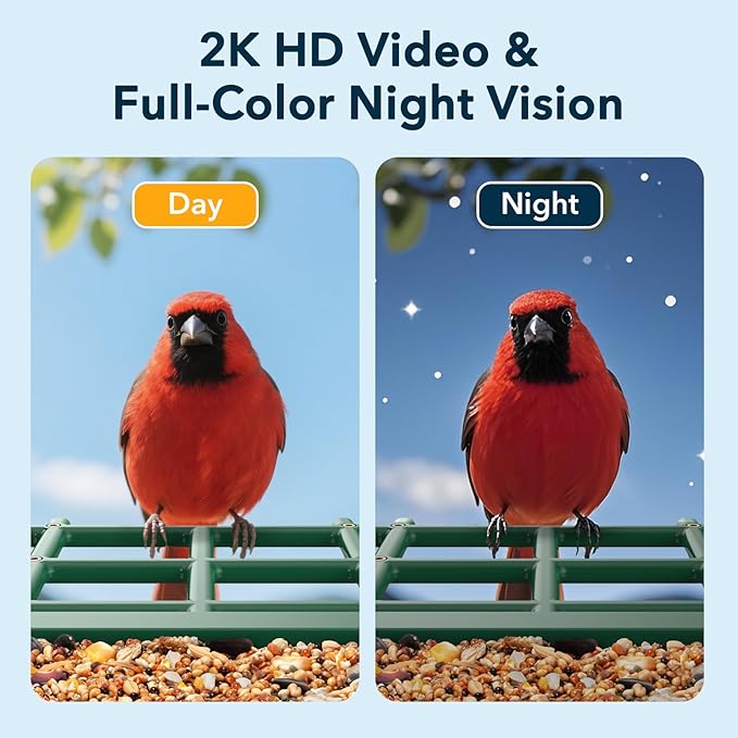 PeckCam® Bird Feeder with Camera Solar Powered, AI Identify & Auto Capture, 2K HD Live Video Smart Bird Feeder Camera Instant Notifications in Backyard, Gift for Bird Lovers
