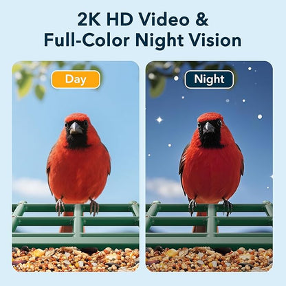PeckCam® Bird Feeder with Camera Solar Powered, AI Identify & Auto Capture, 2K HD Live Video Smart Bird Feeder Camera Instant Notifications in Backyard, Gift for Bird Lovers