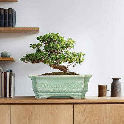 Bonsai Pots - 13.7 Inch Rectangle Ceramic Pots for Plants, Large Succulent Planter with Drainage Hole, Decorative Planters for Indoor Outdoor, Garden House Decor, Housewarming Gifts, Green