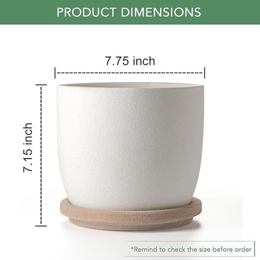 Ceramic Flower Pots Indoor-Outdoor: 7.75 Inch Large Planters with Drainage Holes & Saucer - Modern Decorative Plant Pots Ceramic for Home Gardeners (White)