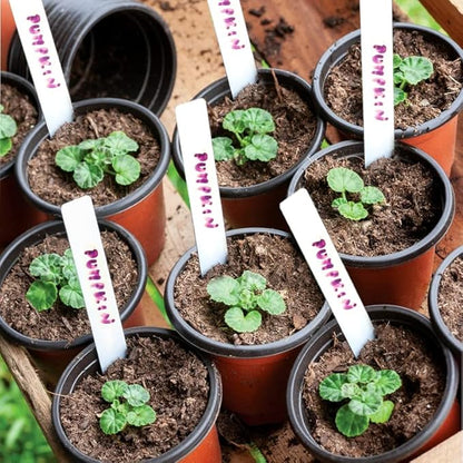 TDHDIKE 4" Small Plastic Plant Pots with 200 Red Seed Starting Pots for Indoor and Outdoor Planting