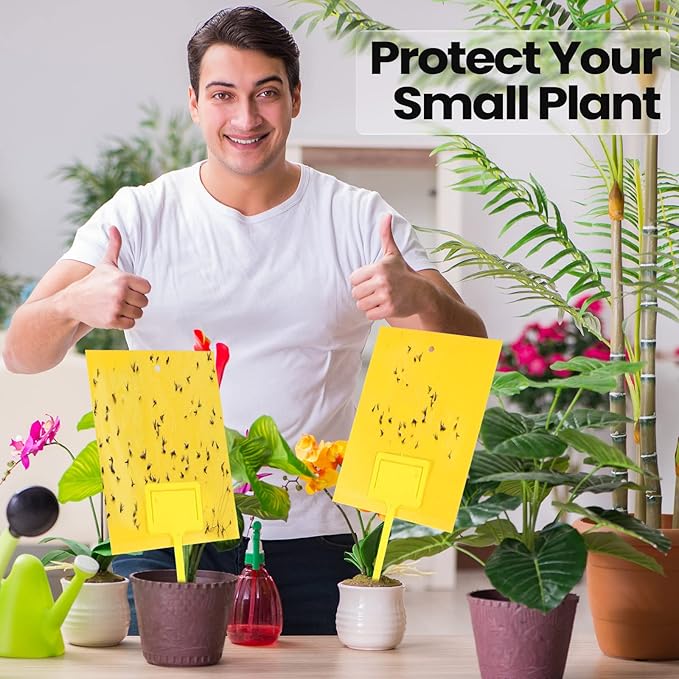 Qualirey 150 Pcs 6 x 8 Inch Sticky Traps for Gnats Dual Sided Fruit Fly Sticky Traps for Indoor and Outdoor Plant with Twist Ties and Plastic Holders for Flying Plant Insect, Fungus Gnats (Yellow)