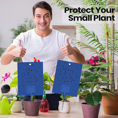 Qualirey 100 Pcs 6 x 8 Inch Sticky Traps for Gnats Dual Sided Fruit Fly Sticky Traps for Indoor and Outdoor Plant with Twist Ties and Plastic Holders for Flying Plant Insect, Fungus Gnats (Blue)