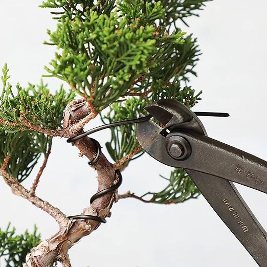 Wazakura 150 gr Black Anodized Aluminum Bonsai Training Wire Made in Japan (3.5 mm, Black)