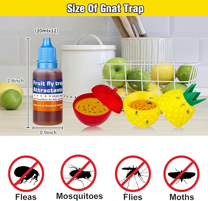 Fruit Fly Trap Refills Liquid Only, Fruit Fly Traps for Indoors,Ready-to-Use Gnats Killer Indoor Trap,Gnat Catcher for Home Kitchen (12 Pack)