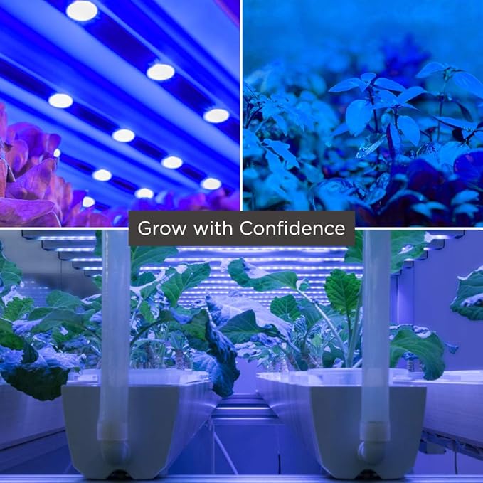 GoodBulb 75-Watt Plant Grow Light Bulb Blue Light Color R30 Shape & E26 Medium Base High Output Grow Light Indoor Plants Seeds Veg and Flower Pack of 4 Bulbs