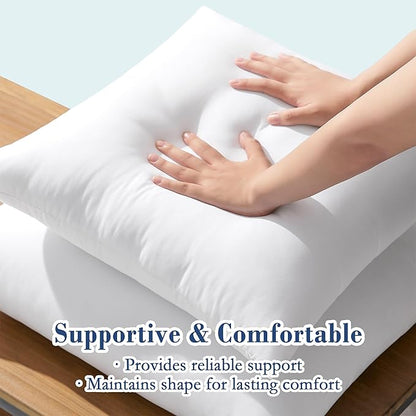 puredown® 20x20 Outdoor Pillow Inserts, Set of 2, Fluffy Soft Water-Resistant Down Alternative Square Form Sham Stuffer for Porch Swing Sofa Couch Cushion Patio Furniture
