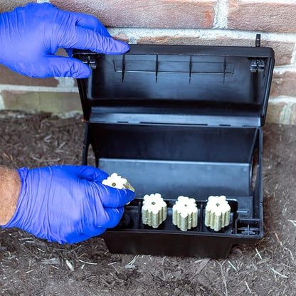 Neogen 000550 Rodent Bait Station, Black (Pack of 6)