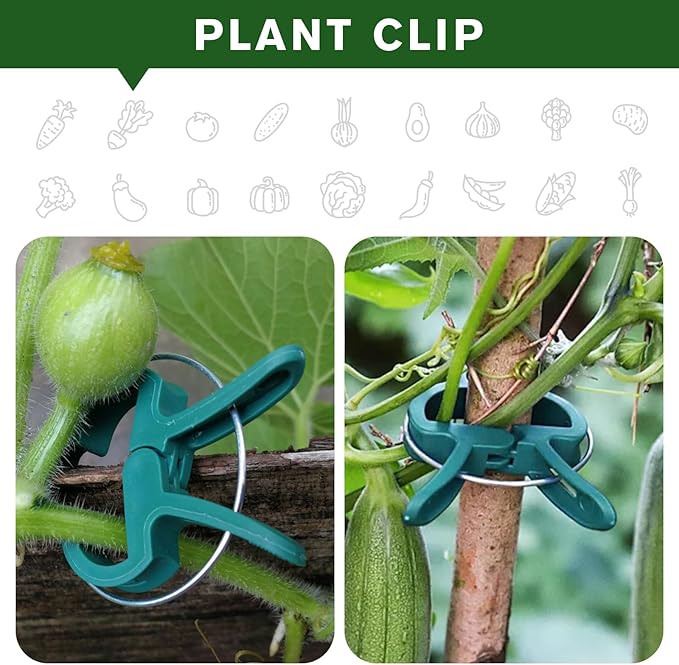 Plant Clips for Climbing Plants, Tomato Clips and Garden Clips for Vine Support, Plant Support Clips for Tomatoes and Garden use(Green, 60 Small)