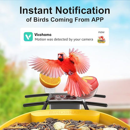 birdsnap® PAV- Smart Bird Feeder with Camera Solar Powered, 64GB Card & 2K HD Record Video Bird Camera Live with 5 DIY Add-ons, AI Identify Auto Capture, Ideal Gift for Birds Lover