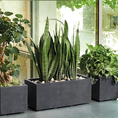 Deroma Millennium 10” Cube Planter | Light & Durable Plastic | Indoor or Outdoor Square Pot for Patio/Porch | Includes Water Reserve & Drain Plug | Trendy Planter for Plants, Flowers, Garden | Grey