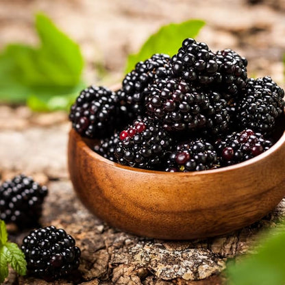 Blackberry Plant Collection (4 Pack) Live Fruit Plants for Planting | 4 Different Varieties for a Continuous Harvest | Thornless & Thorny Mix| Large, Sweet & Juicy Berries |Perfect for Organic Gardens