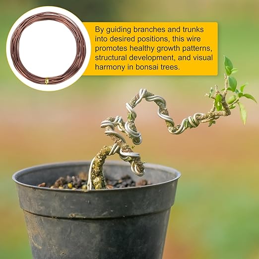 1.5mm Bonsai Training Wire, 16.4 Feet Total Anodized Aluminum Bonsai Wires for Bonsai Tree Shaping/Branches Fixing/Trunk Holding/DIY Crafting [Bronze]