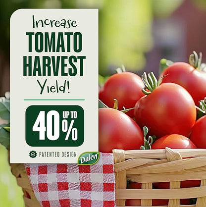 DALEN Gardeneer Tomato Tray Super Boost – Increases Tomato Plant Yield up to 40% – Easy to Install – 12" Wide x 12" deep x 3.5" high – Pack of 3