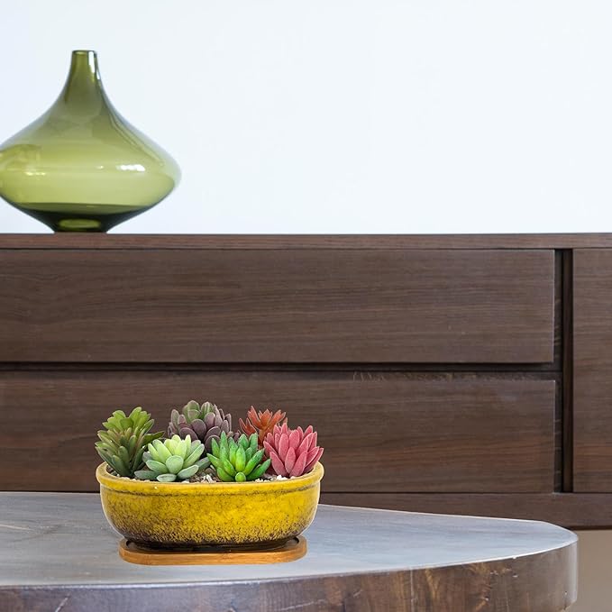 Succulent Pots, 7.9 Inch Long Rectangular Succulent Planters with Drainage Tray, Shallow Planters for Indoor Plants Ceramic Cactus Pots Glazed Bonsai Flower Plant Container for Home Windowsill Decor