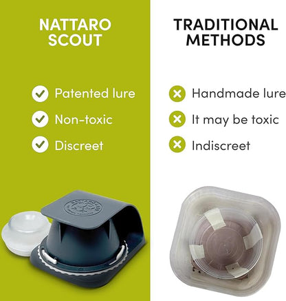 Scout Non-Toxic Early Monitoring Solution with Patented Pheromone Technology, Includes 2 Bed Bug Detection Traps, Replaceable Lures and User Guide