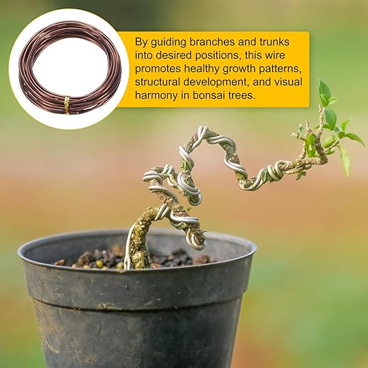 2.5mm Bonsai Training Wire, 16.4 Feet Total Anodized Aluminum Bonsai Wires for Bonsai Tree Shaping/Branches Fixing/Trunk Holding/DIY Crafting [Bronze]