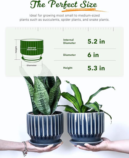 AISBUGUR Plant Pots 6 inch Ceramic Pots for Indoor Plants Set of 2 Flower Pots Unique Crackle Glaze Design Plant Pots with Drainage Hole and Saucer Come with Drainage Nets (Grey)