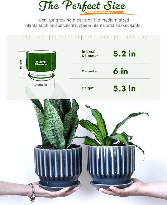 AISBUGUR Plant Pots 6 inch Ceramic Pots for Indoor Plants Set of 2 Flower Pots Unique Crackle Glaze Design Plant Pots with Drainage Hole and Saucer Come with Drainage Nets (Grey)