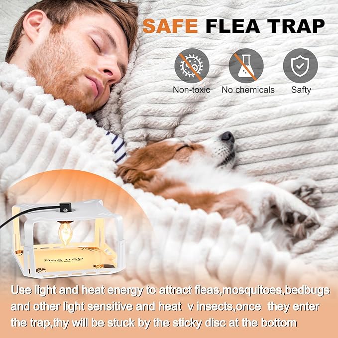 Qualirey 4 Packs Flea Traps for Inside Your Home with 8 Sticky Disc 12 Bulbs 4 Electric Wires, Pest Insects Killer Bed Bug with Light for Indoor Safe to Pets(Square Flea Trap,White)