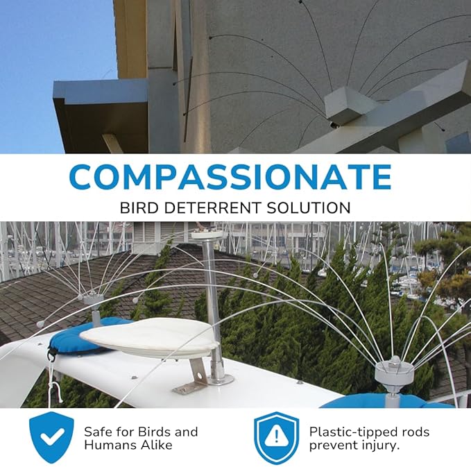 Bird Barrier Daddi Long Legs - 8 Ft | Scare Birds Away with Innovative Bird Spider Design | Bird Deterrent for Outside | Easy Installation on Roofs, Boats & HVAC Units | Durable Stainless Steel/Delrin