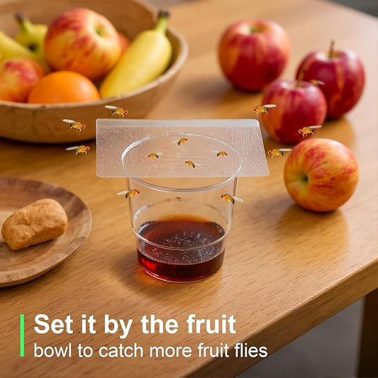 50 Pack Fruit Fly Trap Covers, Double-Sided Sticky Adhesive Cards for Gnats, Fruit Flies, Moths, Kitchen Insect Control (50 Pcs)