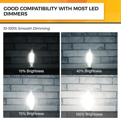 Hizashi E12 Candelabra Bulb 60 watt, E12 LED Bulb Dimmable, 5000K Daylight White, 90+ CRI 6W 550LM, CA11 Flame Tip LED Chandelier Light Bulbs Candelabra Base, UL Listed - 24 Pack