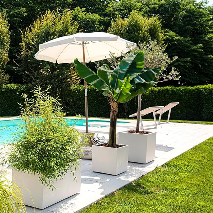 Deroma Millennium 19” Cube | Light & Durable Plastic | Indoor/Outdoor Square Pot for Patio | Water Reserve,Drain Plug Wheels | Trendy Planter for Plants, Flowers, Garden | White
