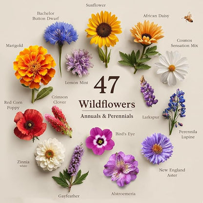 Seedboy Wildflowers for Pollinators Seed Mix – 2 oz Bulk Wildflower Seeds - 40,000+ Non-GMO Seeds for Bees Butterflies Hummingbirds – 47 Varieties of Annual & Perennial Wild Flowers for Planting (2oz)
