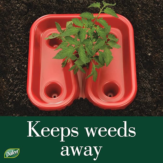 Dalen Gardeneer Tomato Tray Super Boost – Increases Tomato Plant Yield up to 40% – Easy to Install – 12" x 12" x 3.5" – Pack of 3