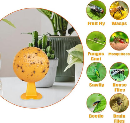 6 PCS Fly Trap Indoor Fly Sticky Ball, Hanging Fly Trap Outdoor Bug Gnat Trap Ball, Bug Catcher Ball for House Plants Kitchen Drain Yard Garden