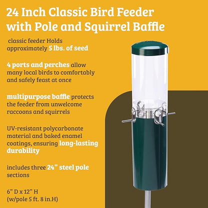 Birds Choice Classic Squirrel Proof Bird Feeder with Pole Mount | Tube Bird Feeder for Cardinals, Chickadees, Woodpeckers | Sturdy Steel for Long-Lasting Use | Backyard Birdseed Dispenser | Green