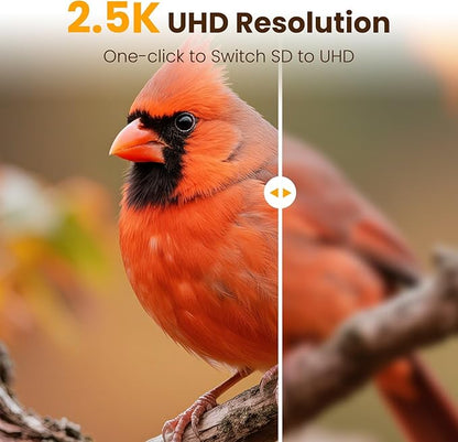 Metal Smart Bird Feeder with Camera, 2.5K UHD Bird Camera AI Identifies 11,000+ Bird's Species, Real-time Bird's Videos & Pictures, Solar Powered Wireless Outdoor, Ideal Gift