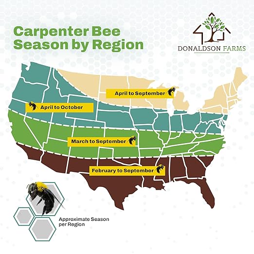 All-Natural Foaming Bee Spray Killer Outdoor - Carpenter Insect Bee Spray Killer - Reliable Defense for All Kinds of Insects, 16 oz